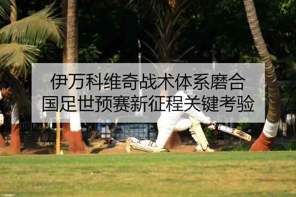 伊万科维奇战术体系磨合 国足世预赛新征程关键考验